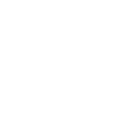 City of Williamsburg